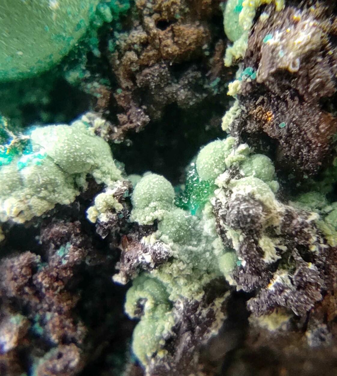 Chrysocolla & Brochantite