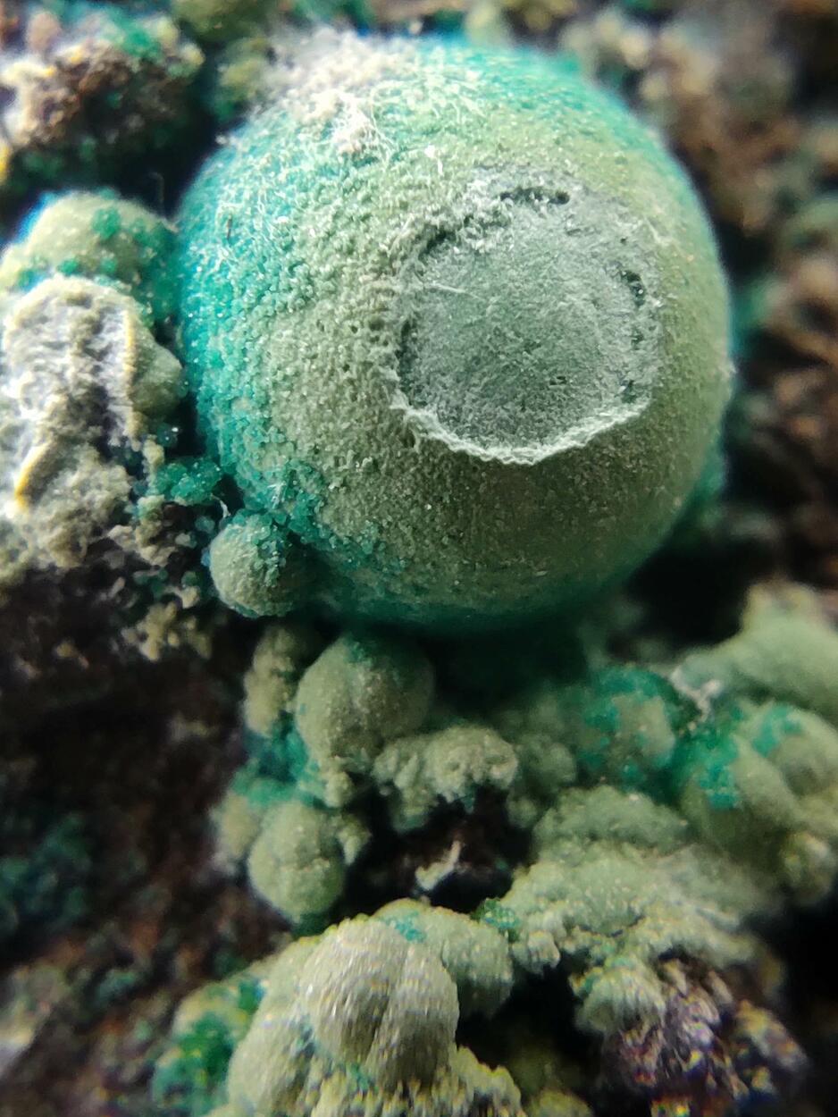 Chrysocolla & Brochantite