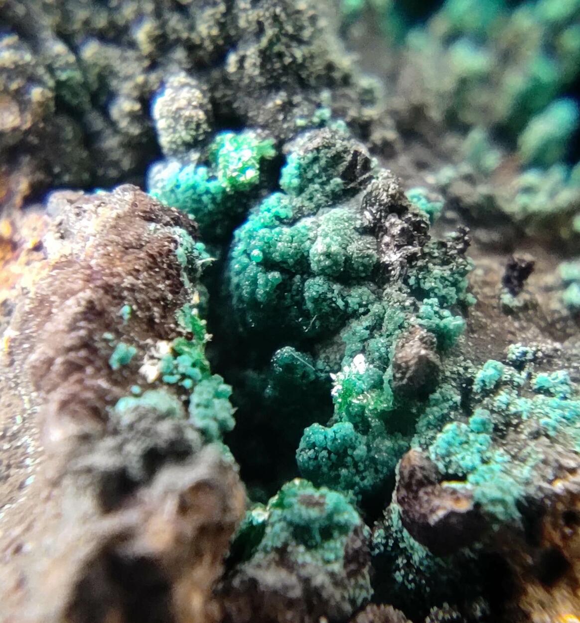 Chrysocolla & Brochantite