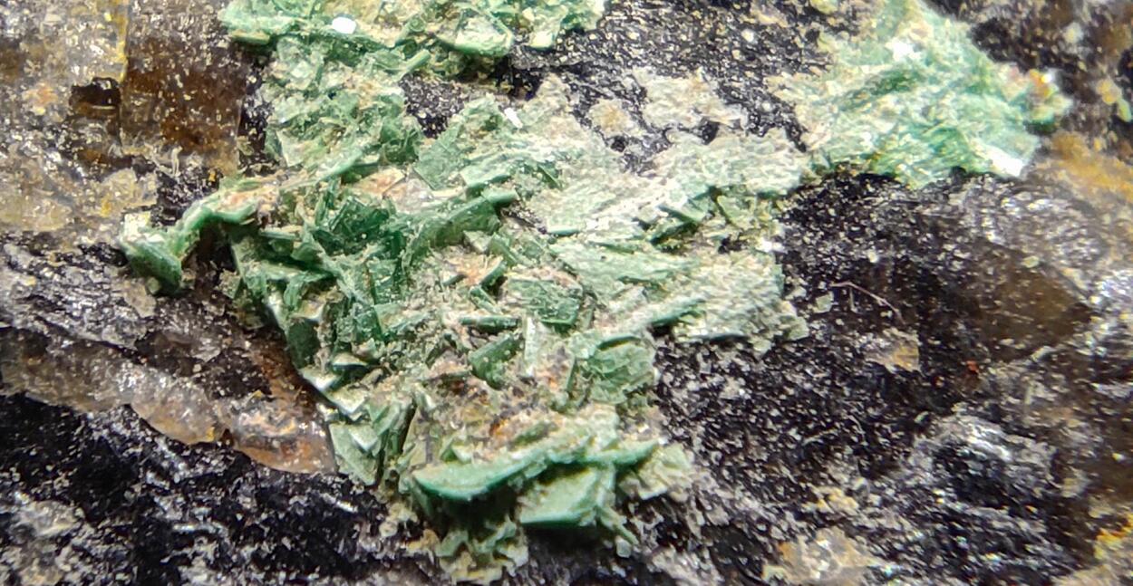 Torbernite On Smoky Quartz