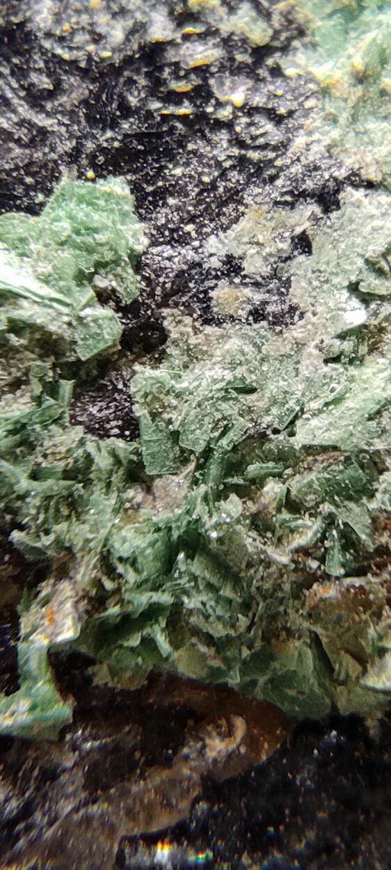 Torbernite On Smoky Quartz