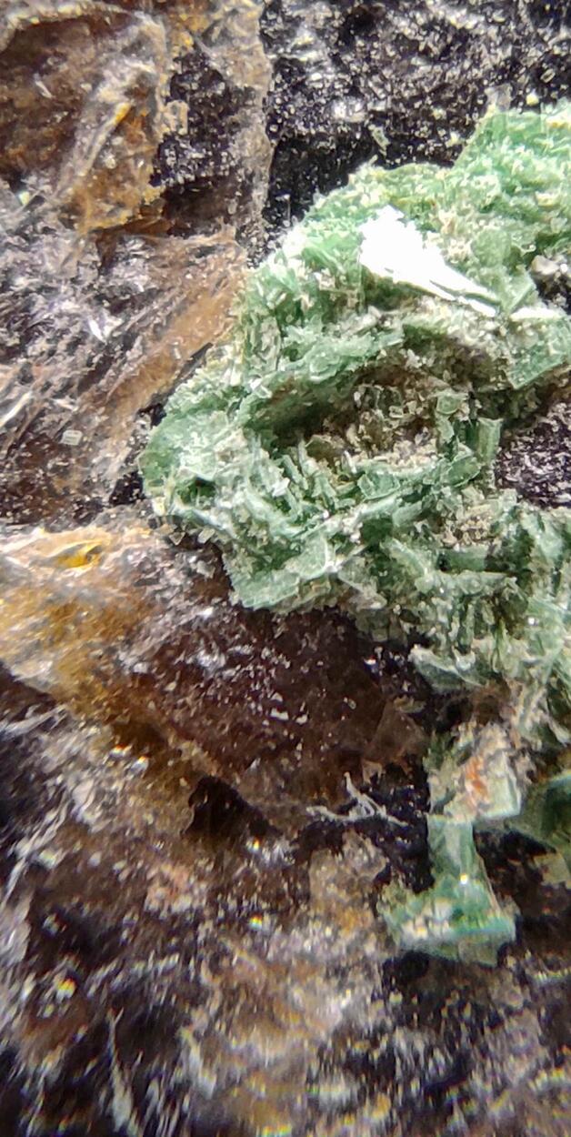 Torbernite On Smoky Quartz