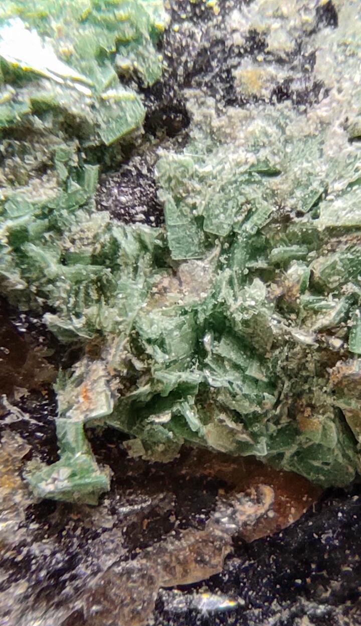 Torbernite On Smoky Quartz