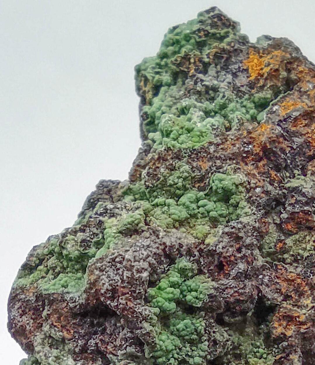 Conichalcite & Goethite