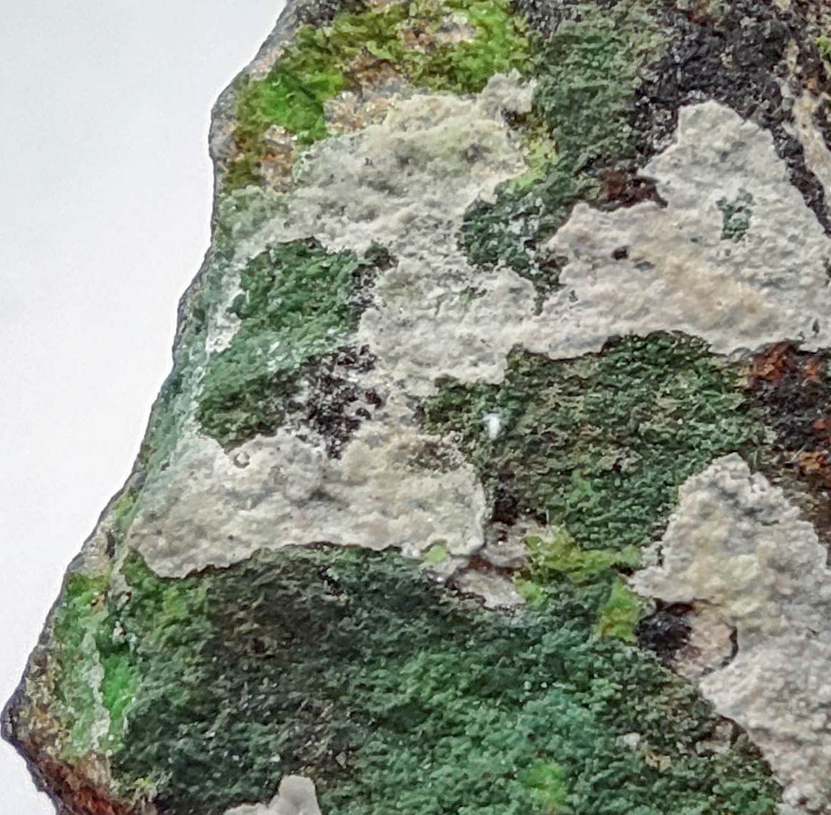 Conichalcite & Goethite