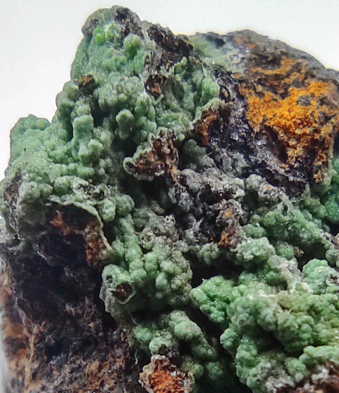 Conichalcite & Goethite