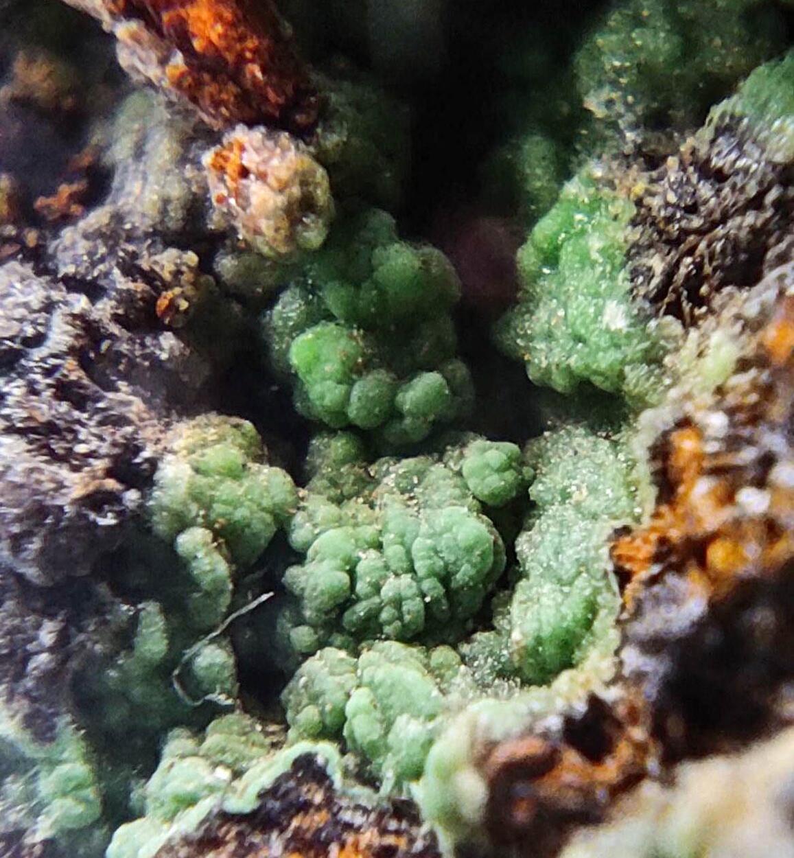 Conichalcite & Goethite