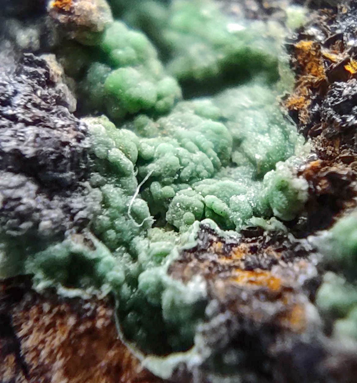 Conichalcite & Goethite