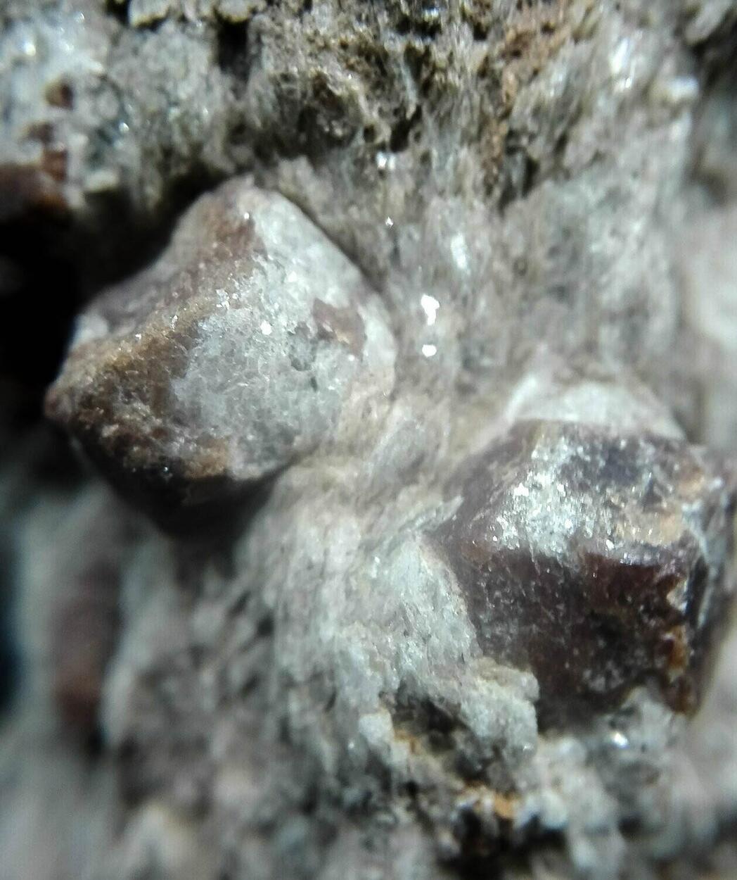 Almandine On Schist