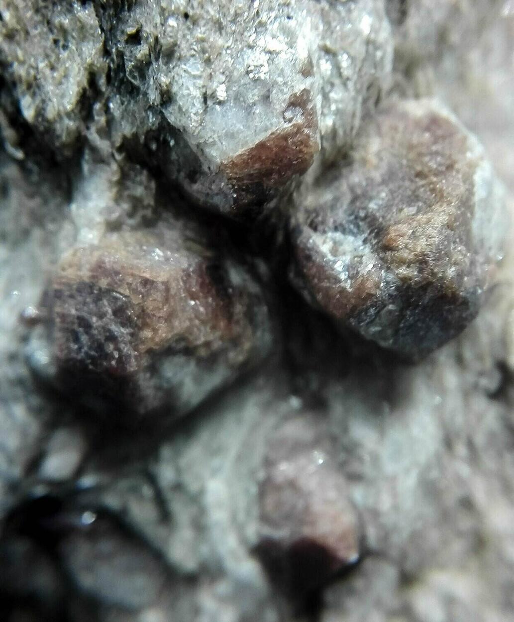 Almandine On Schist