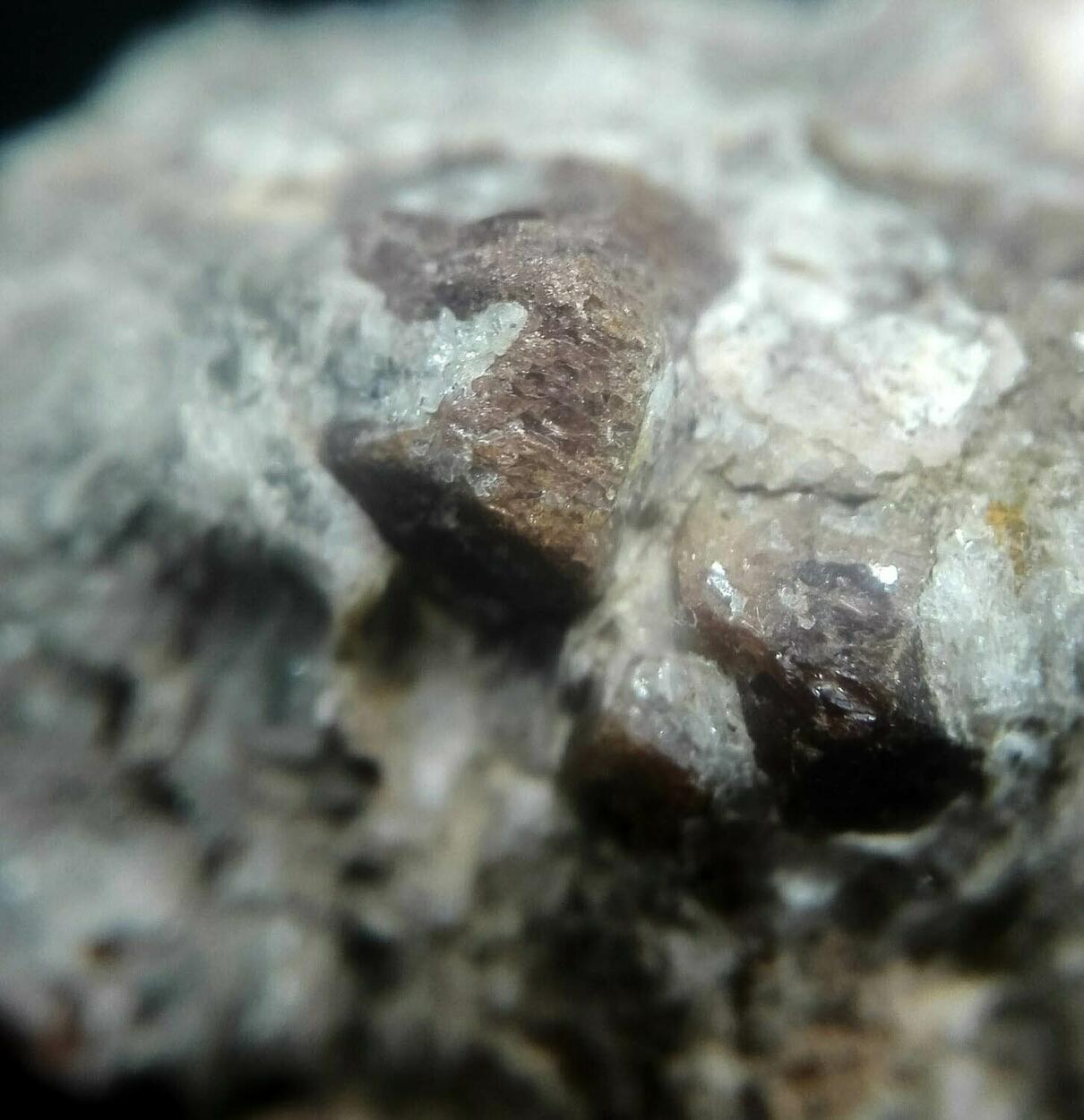 Almandine On Schist