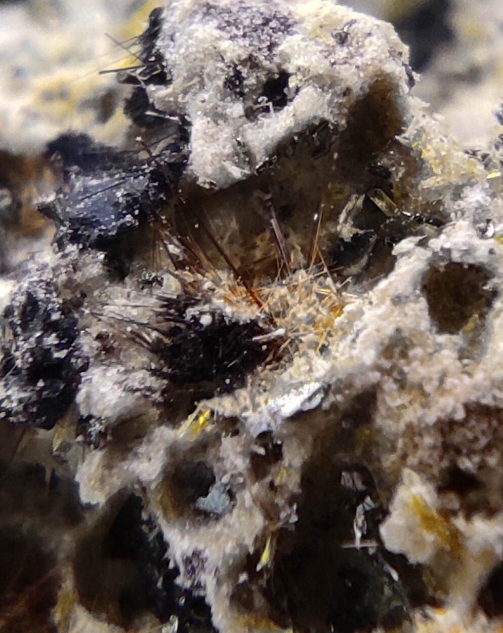 Yuanfuliite Calcite Hematite & Diopside