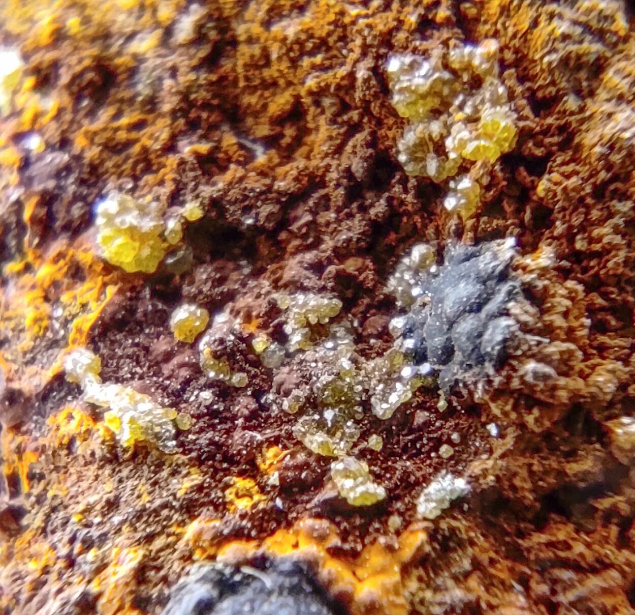 Campylite & Mimetite