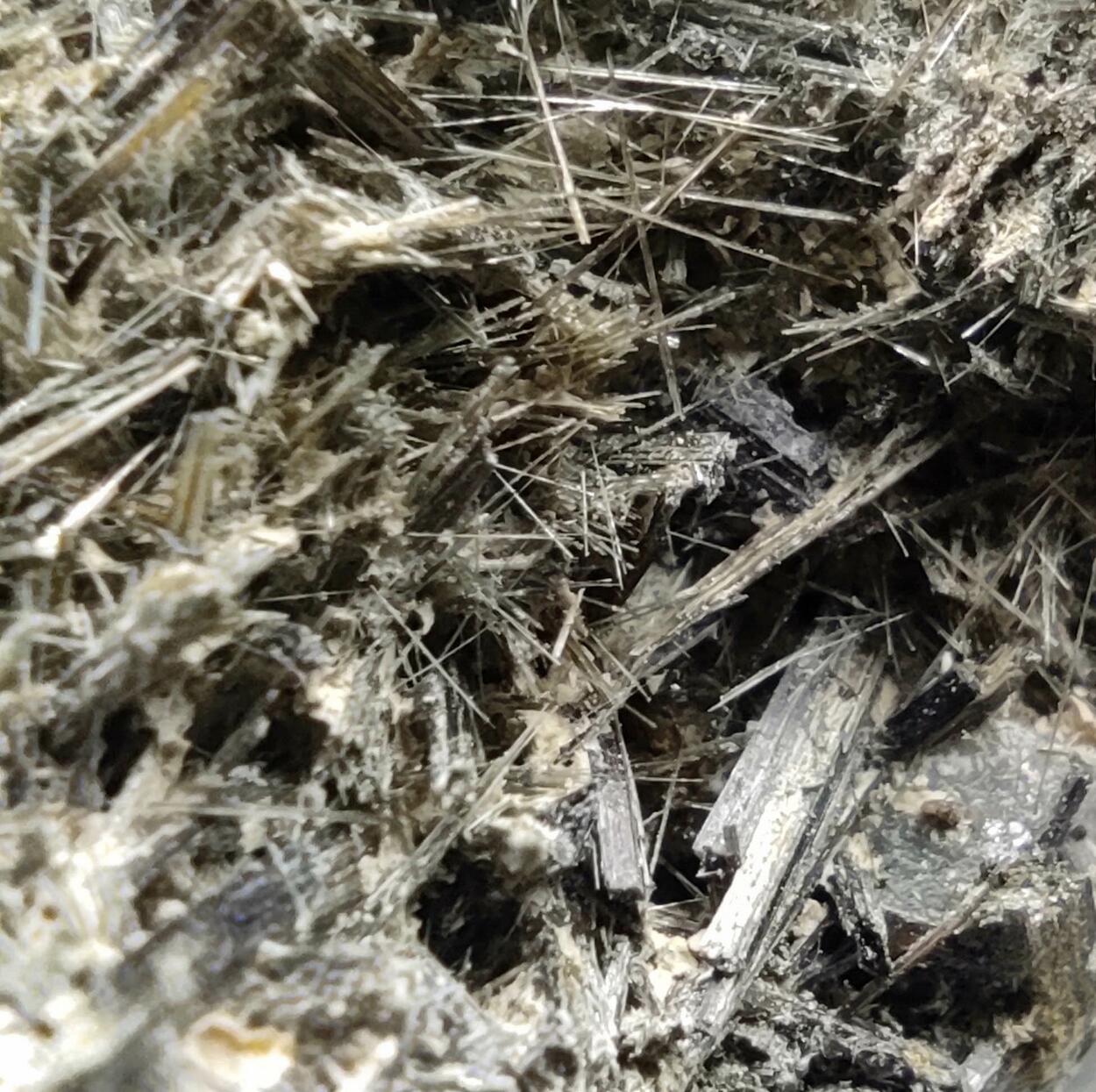 Ferro-actinolite