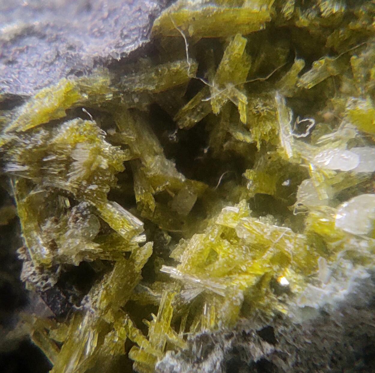 Epidote Andradite & Clinozoisite