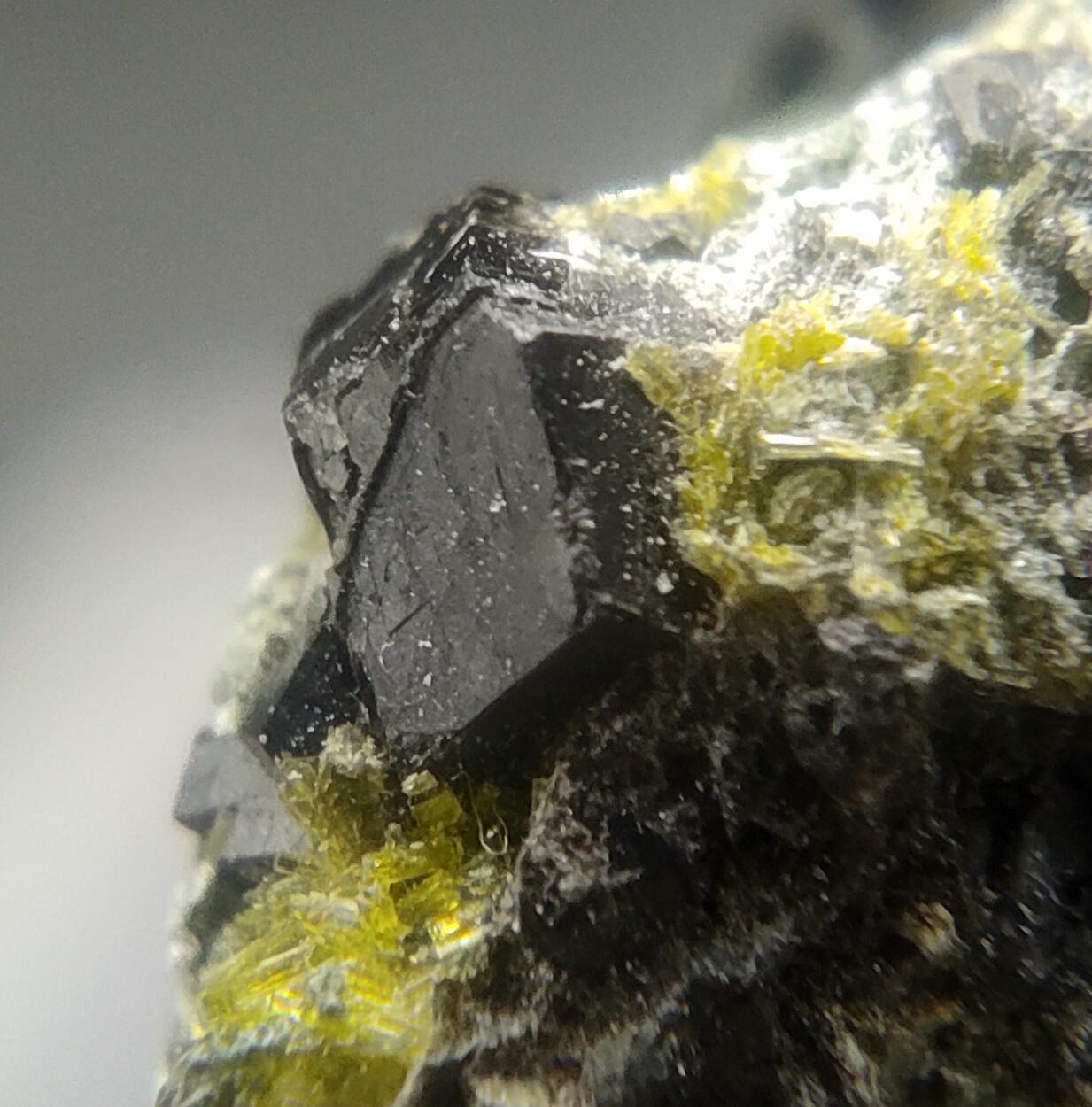 Epidote Andradite & Clinozoisite