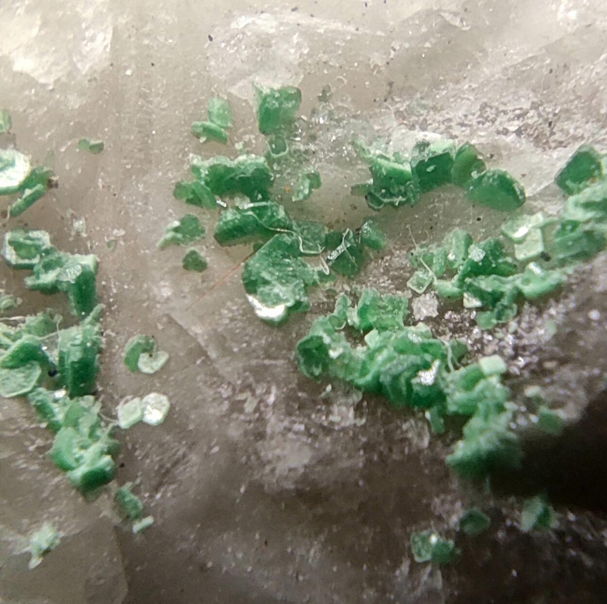 Torbernite On Quartz