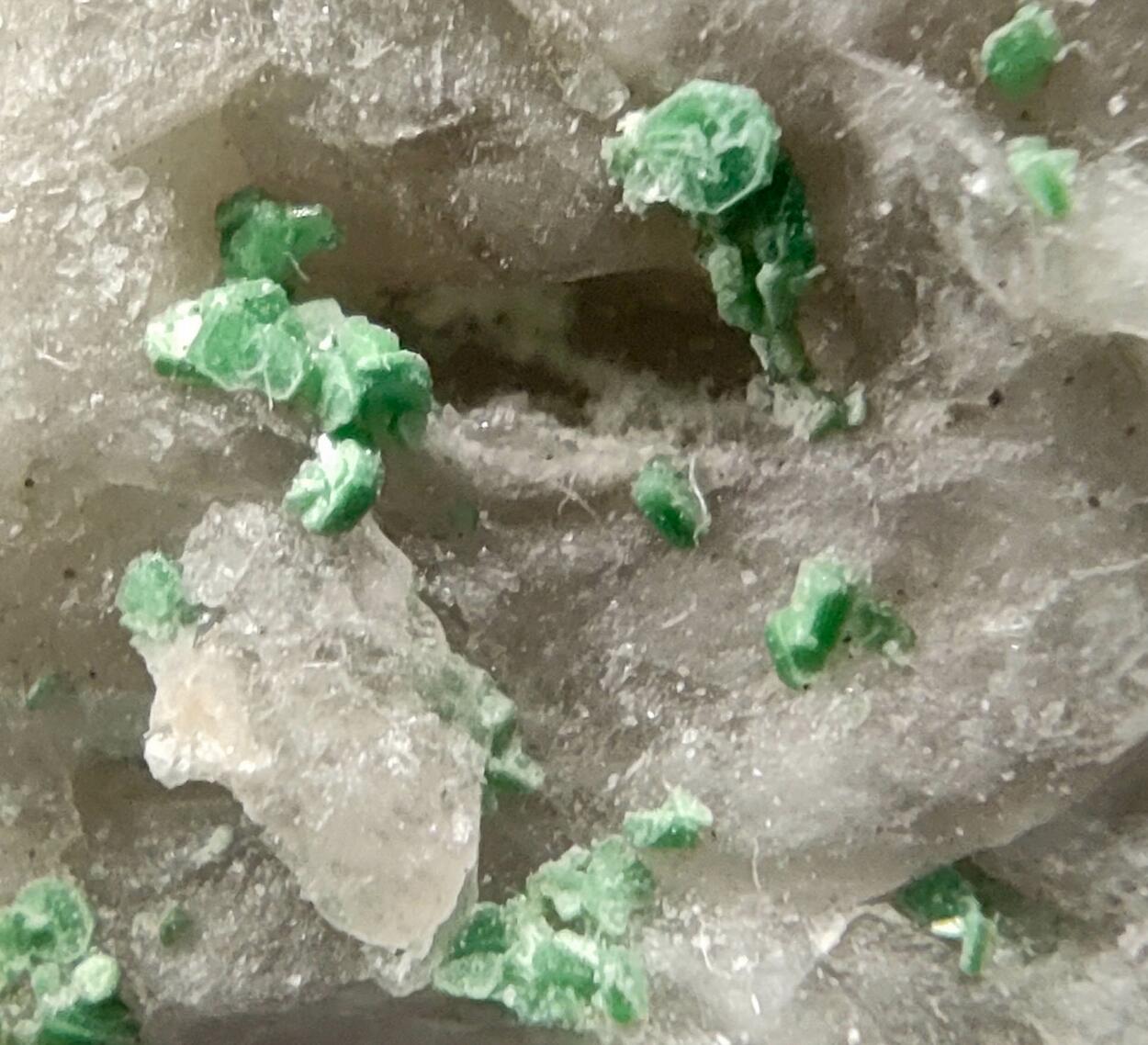 Torbernite On Quartz