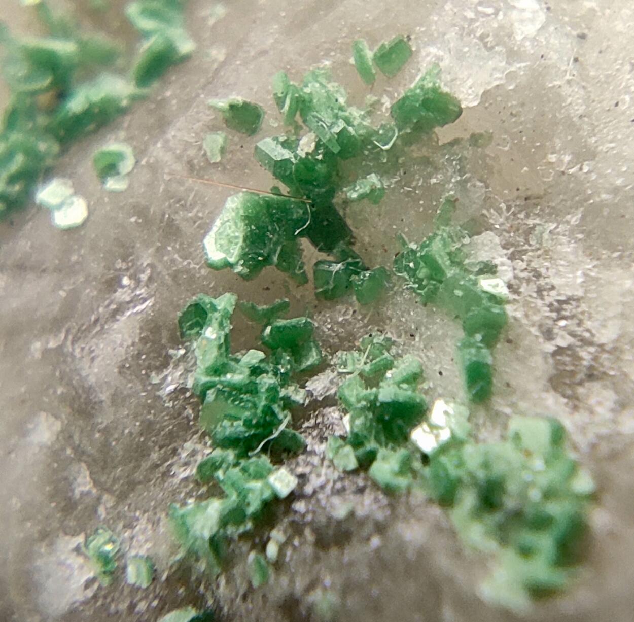 Torbernite On Quartz