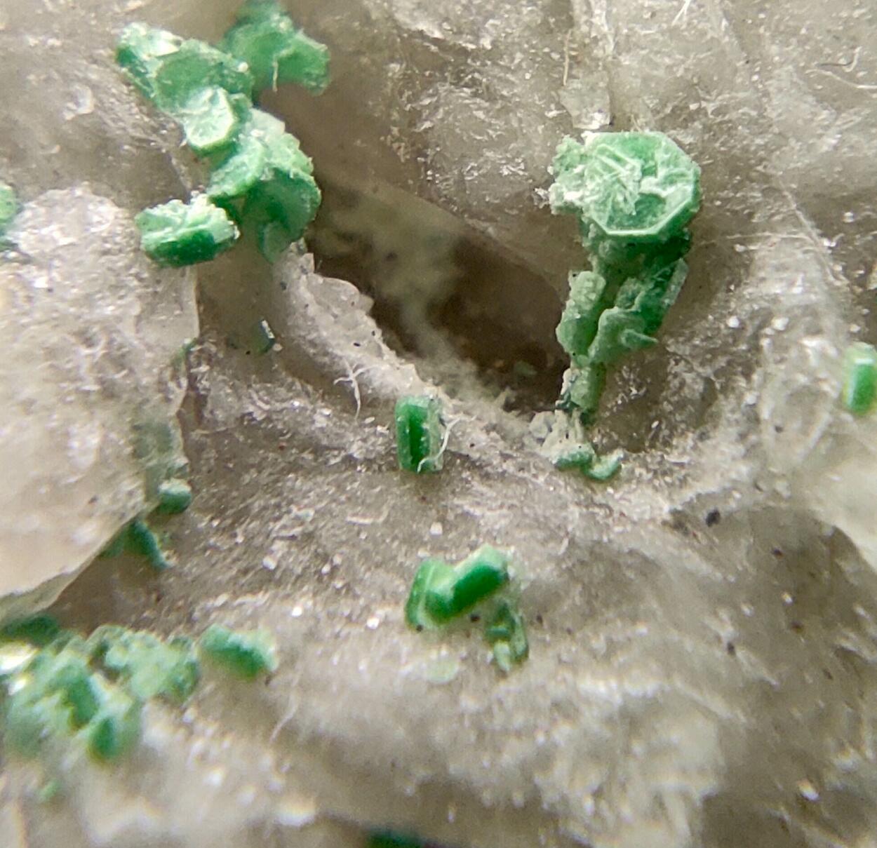 Torbernite On Quartz