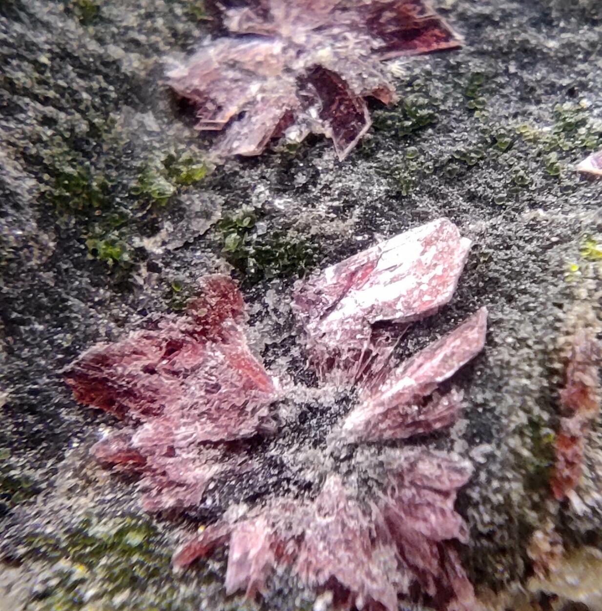 Erythrite & Conichalcite