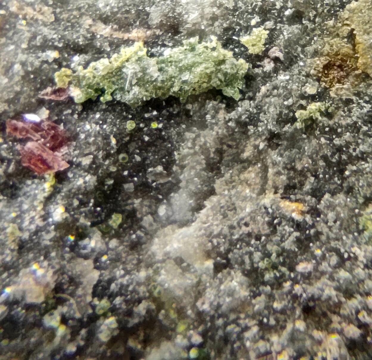 Erythrite & Conichalcite