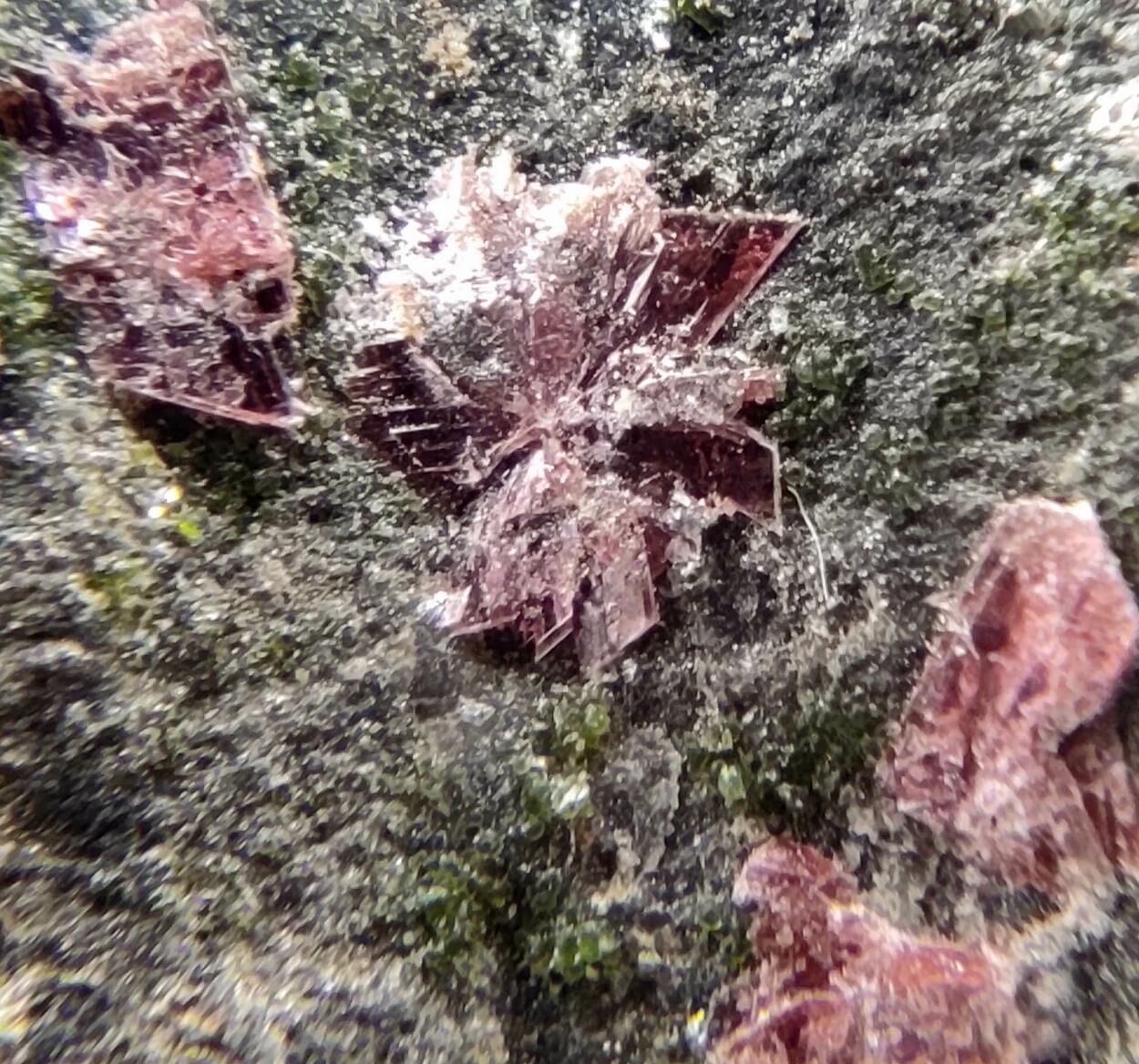 Erythrite & Conichalcite