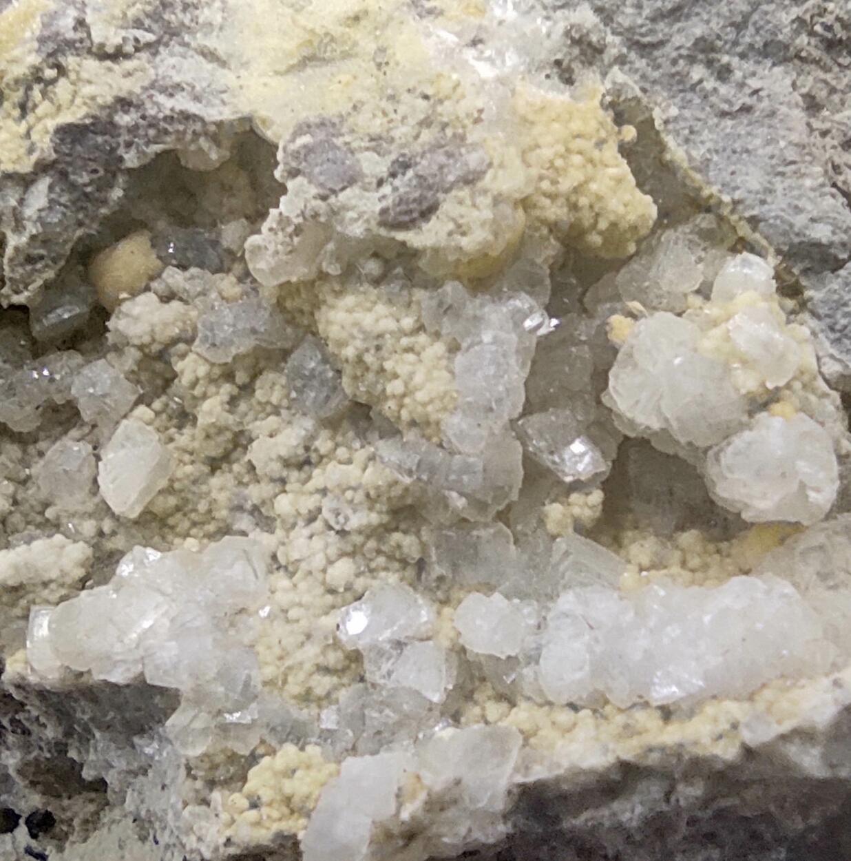 Clinoptilolite & Ferrierite