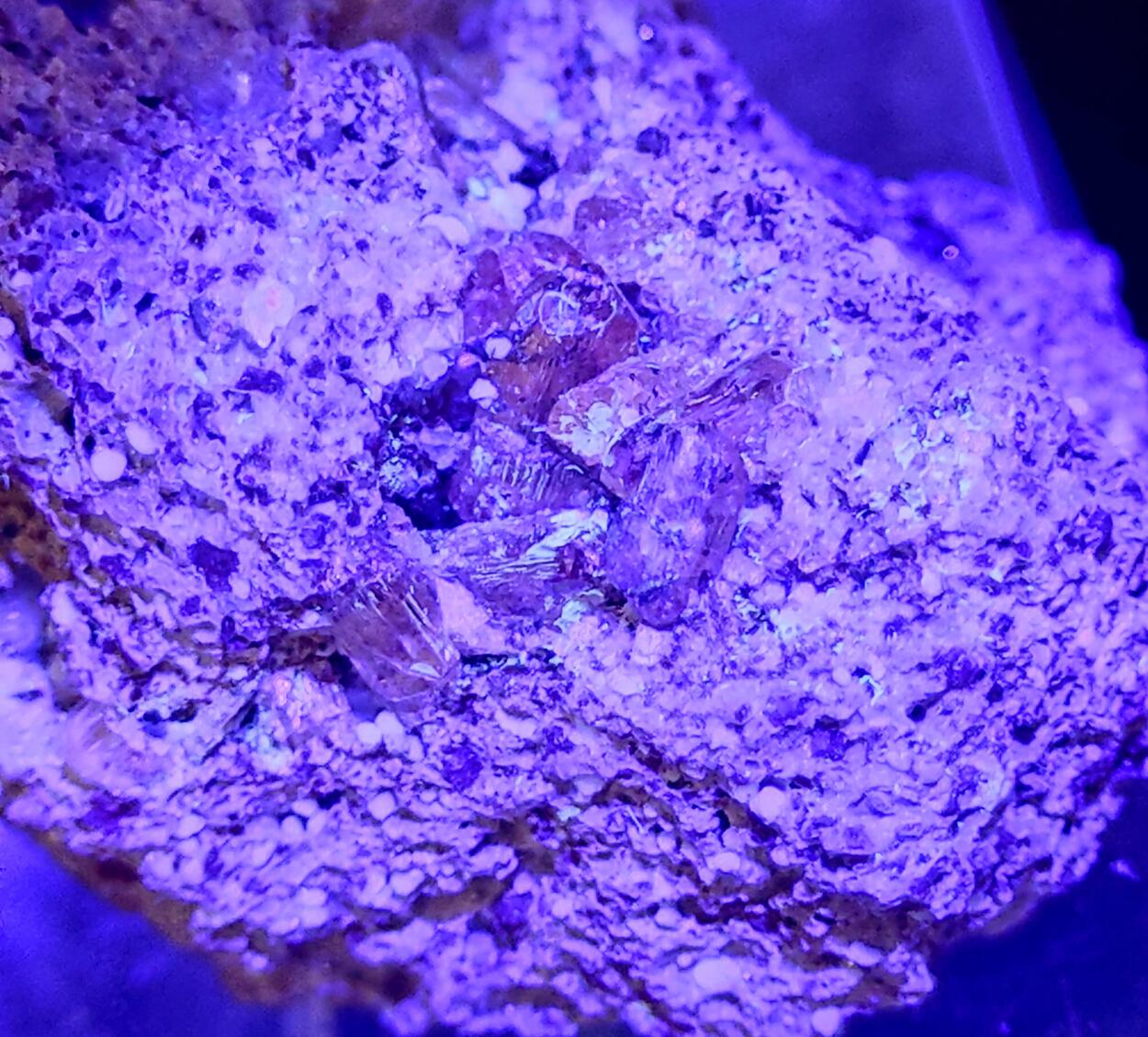 Fluorapatite Calcite & Hematite