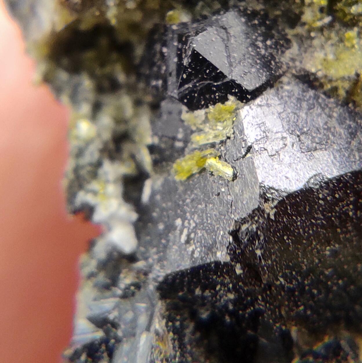 Clinozoisite & Andradite