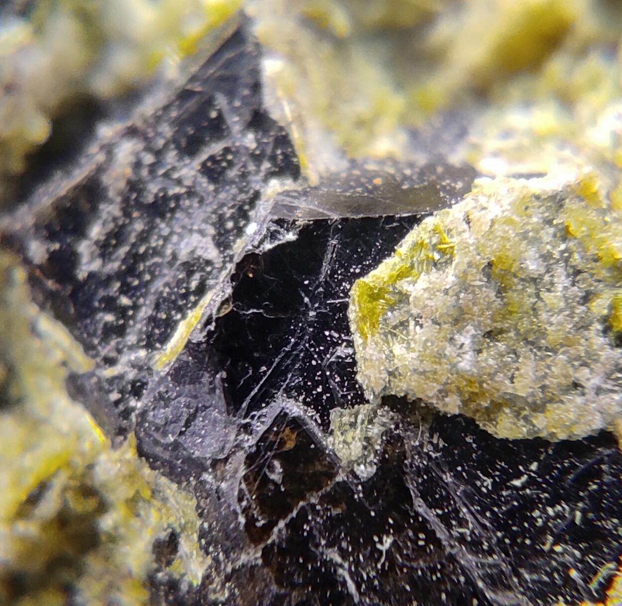 Clinozoisite & Andradite