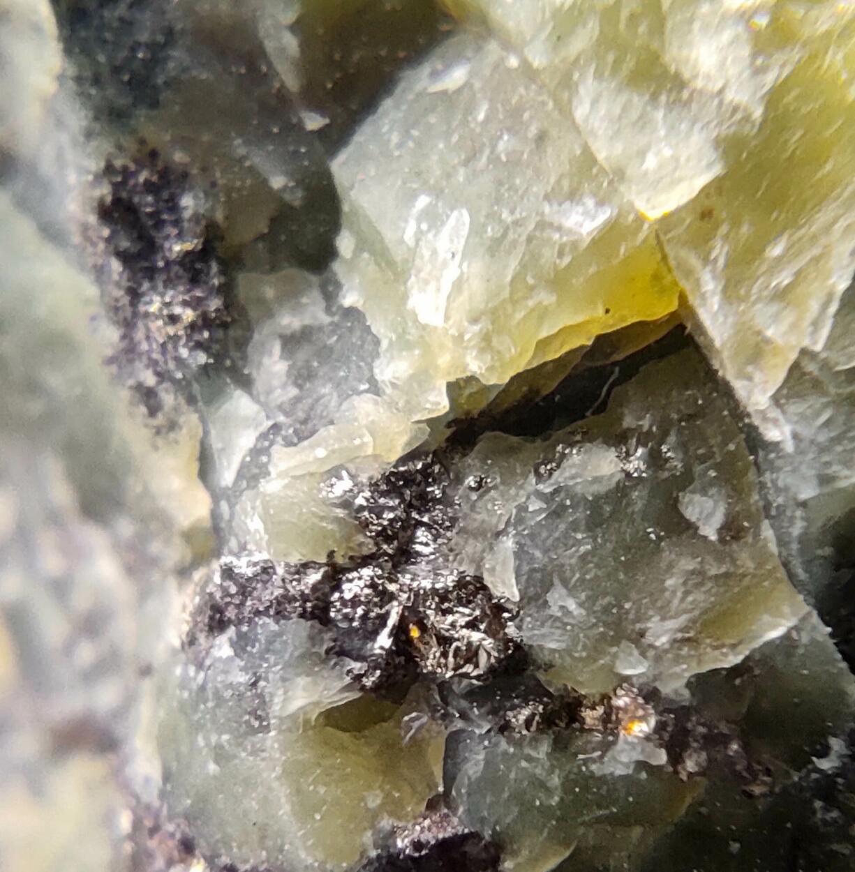 Chrysotile & Serpentine