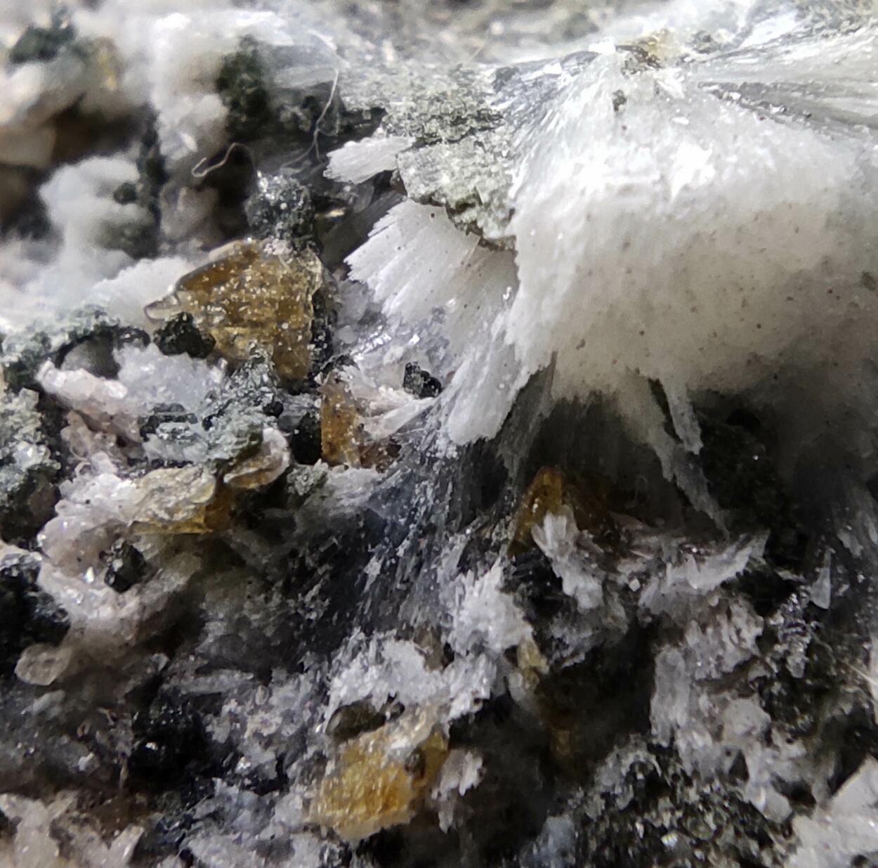 Titanite Albite Prehnite Ferro-actinolite & Orthoclase