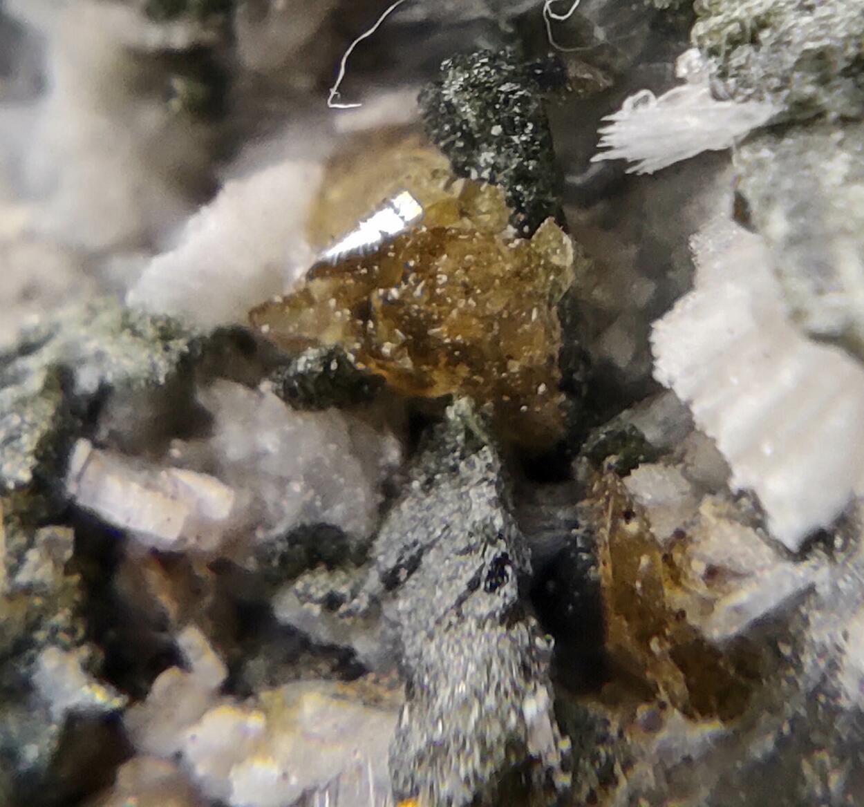 Titanite Albite Prehnite Ferro-actinolite & Orthoclase