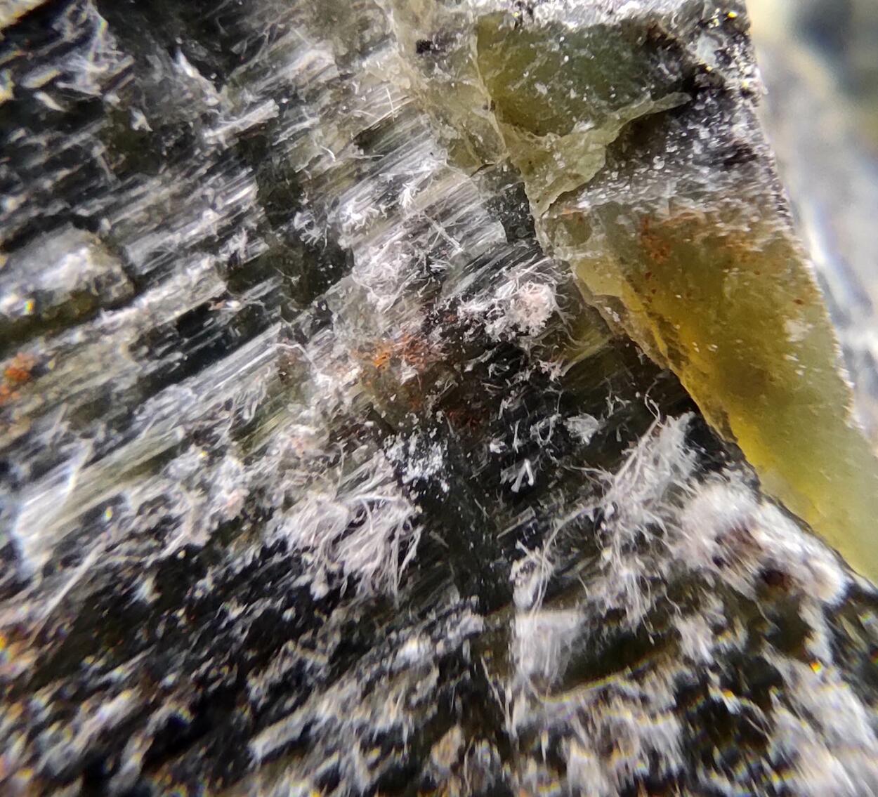 Chrysotile & Serpentine