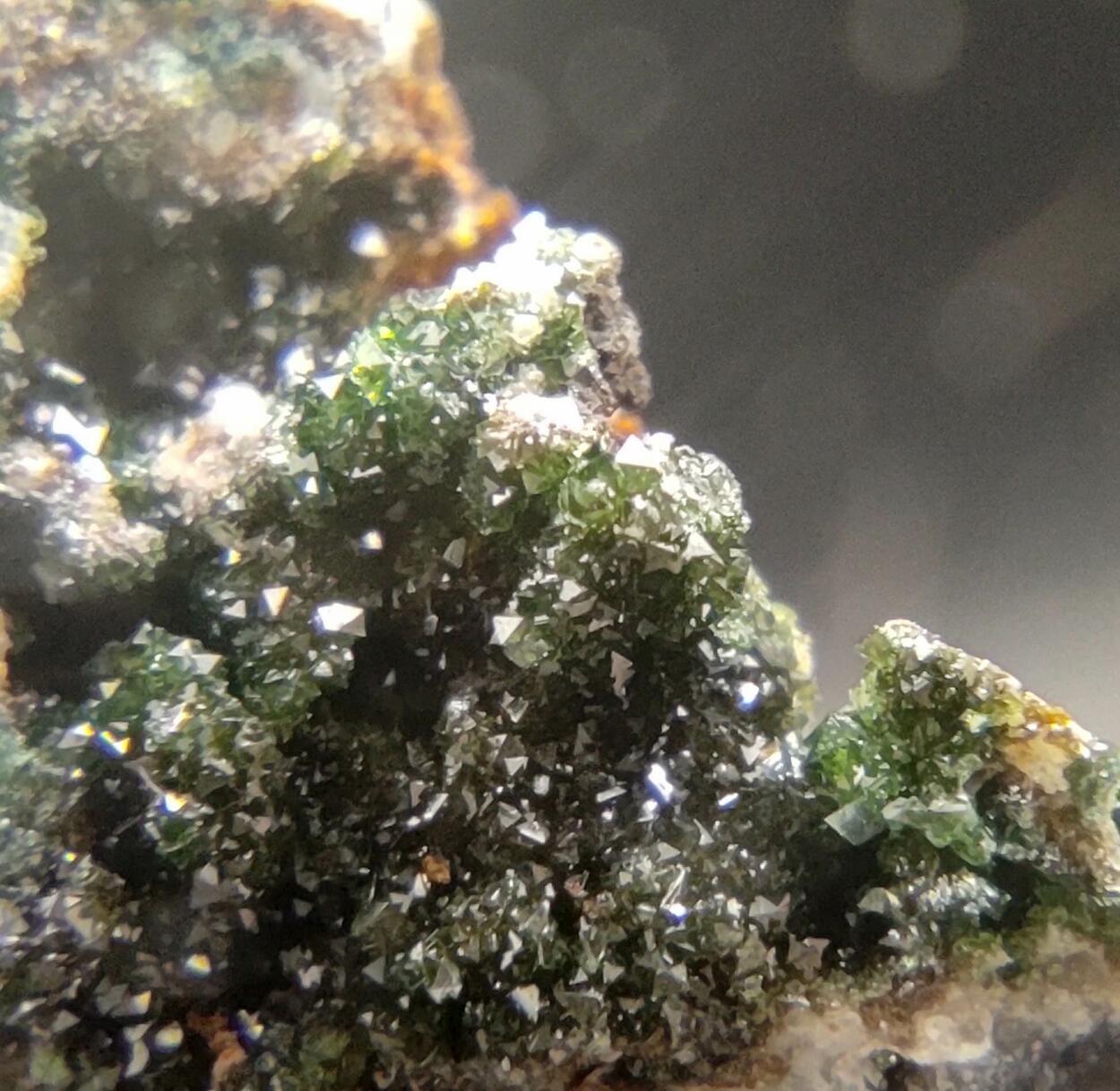 Libethenite & Pseudomalachite