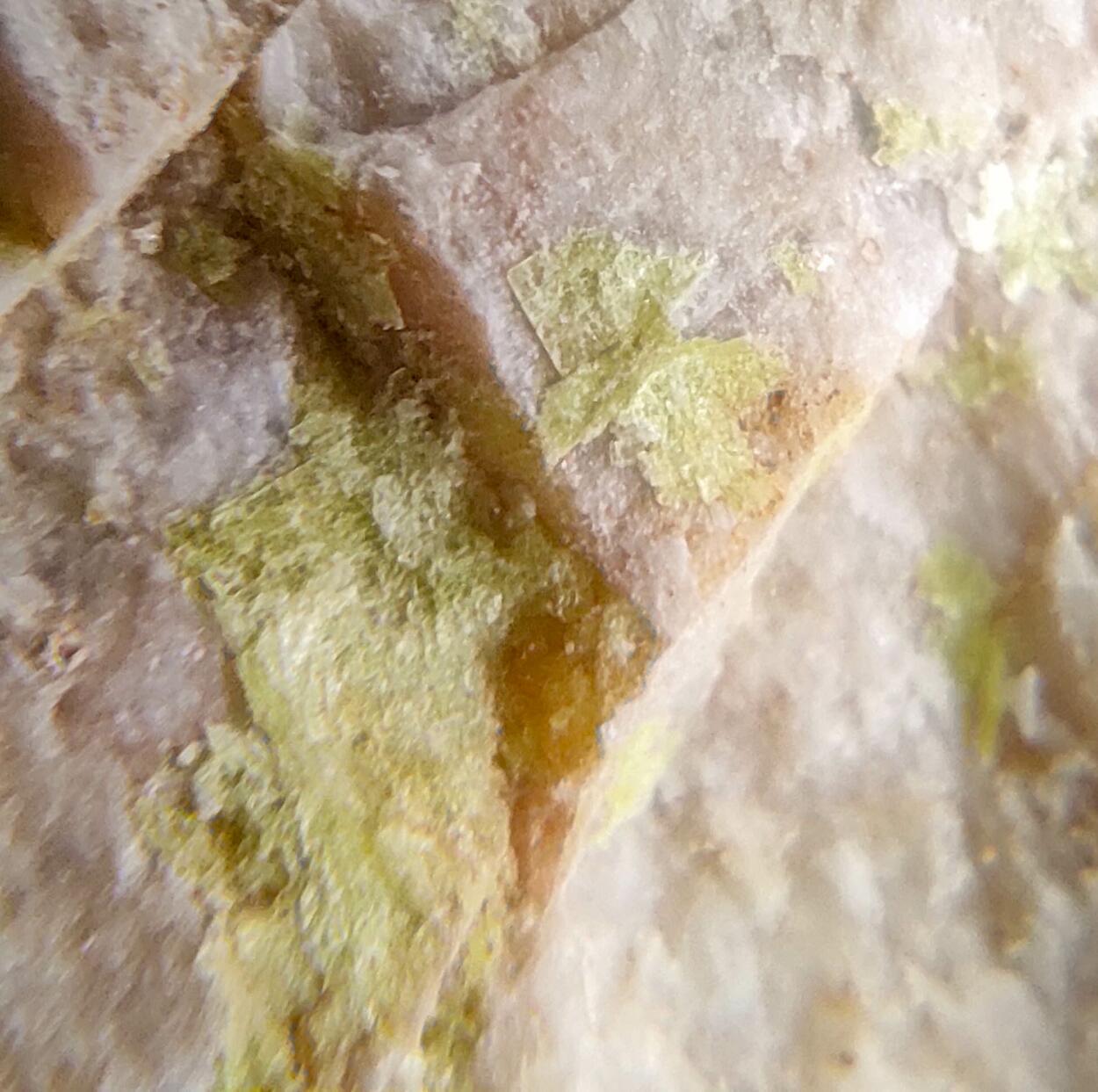 Uranocircite