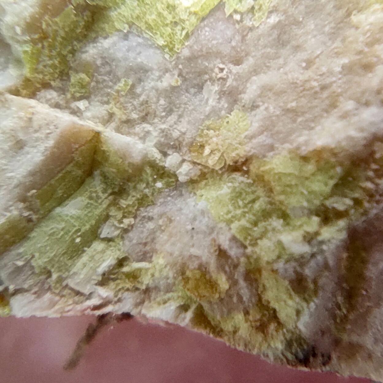 Uranocircite