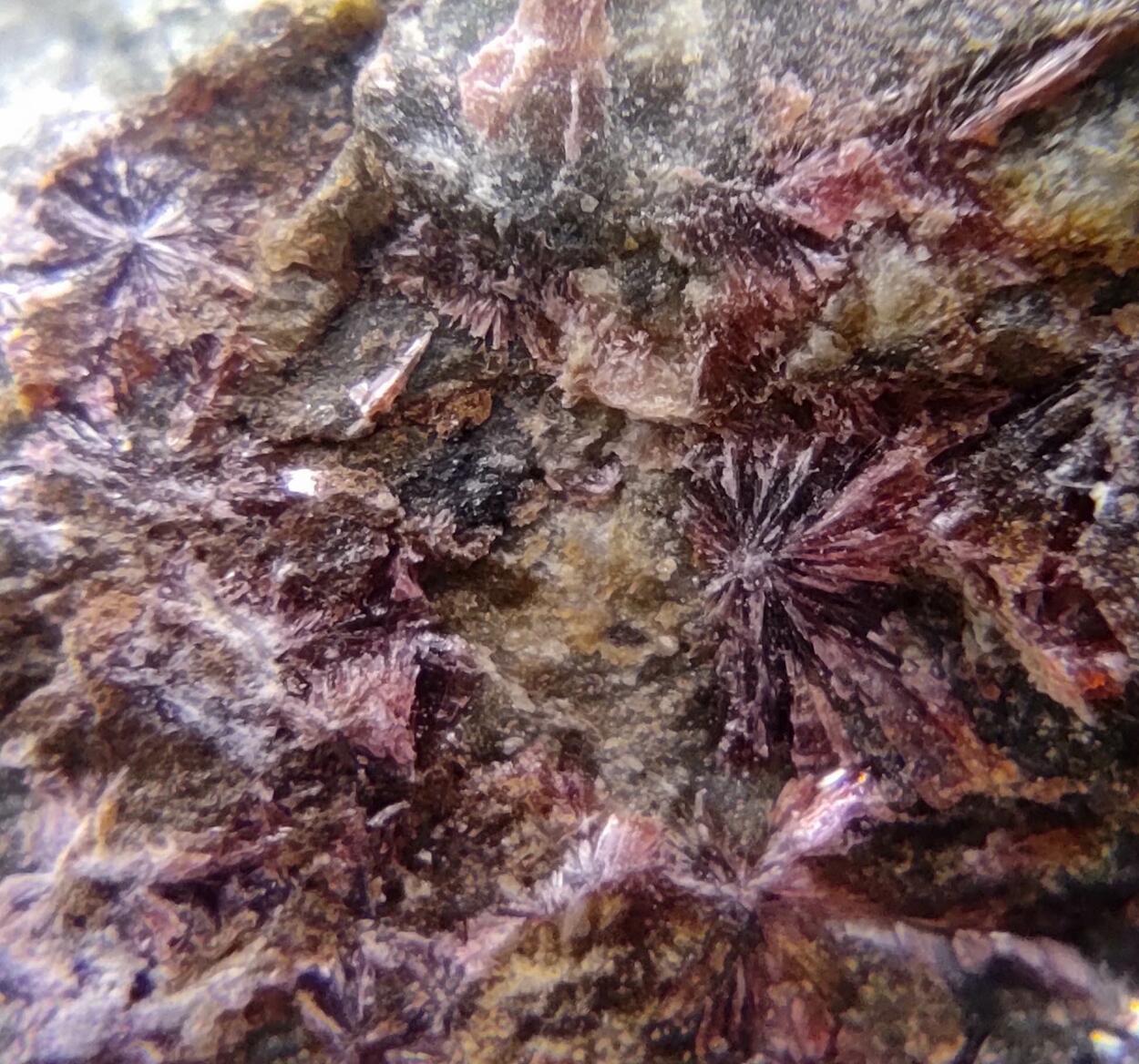 Erythrite