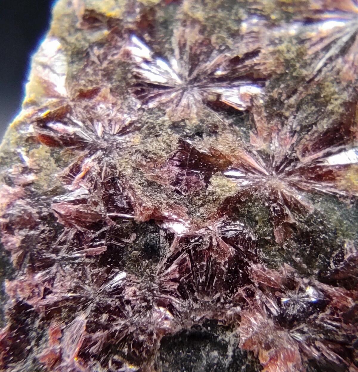 Erythrite