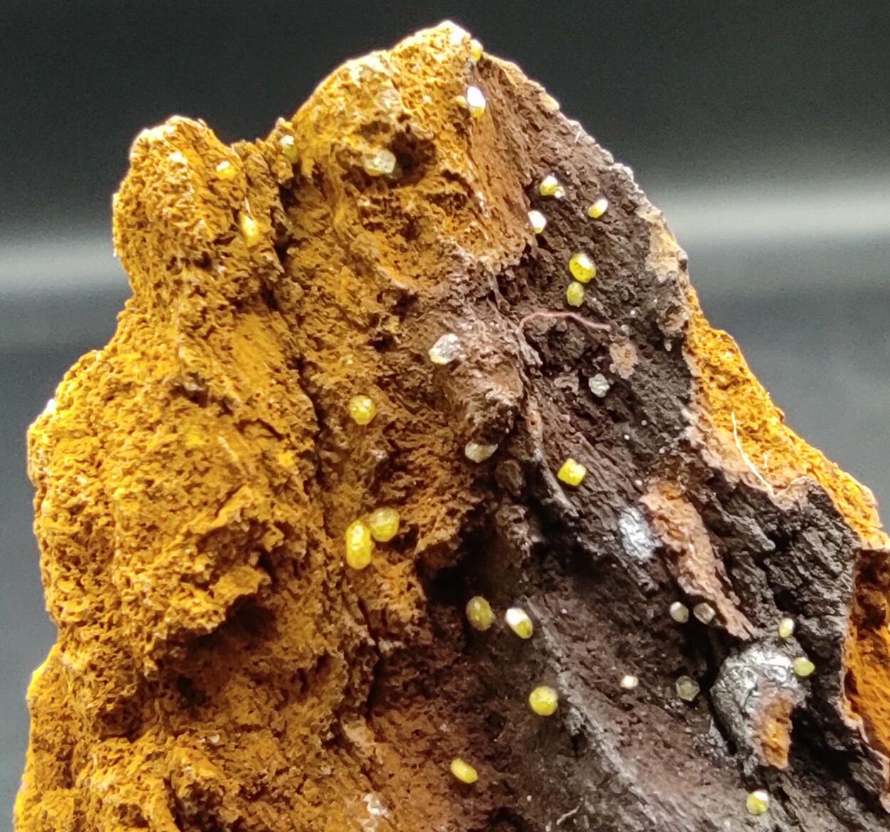 Campylite On Goethite & Limonite