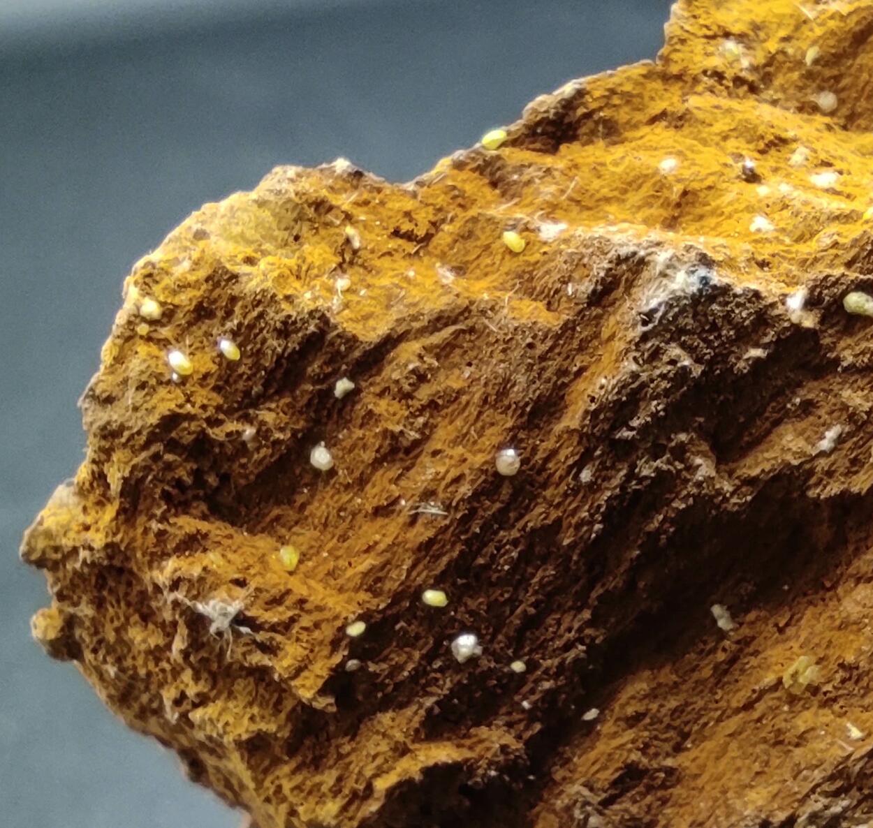 Campylite On Goethite & Limonite