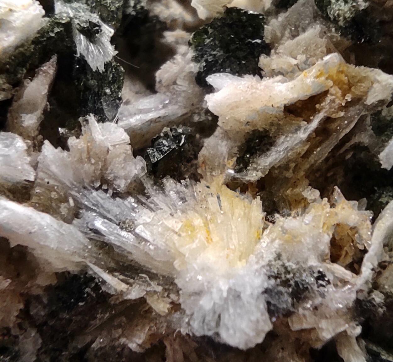 Prehnite Calcite Magnetite & Amphibole