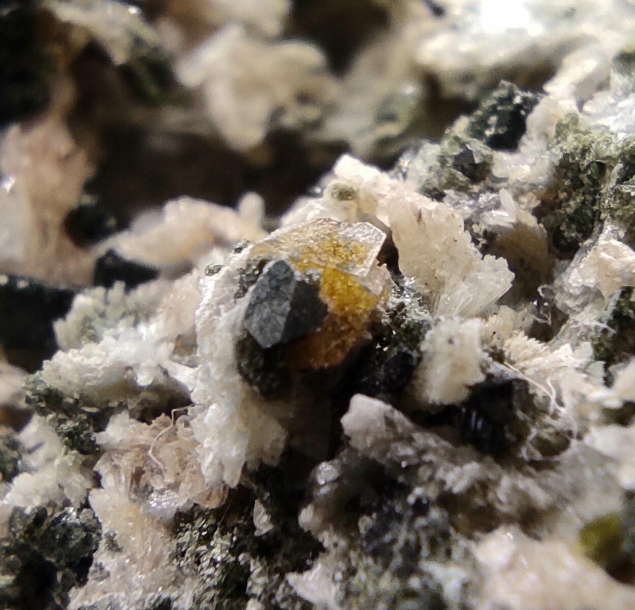 Prehnite Calcite Magnetite & Amphibole