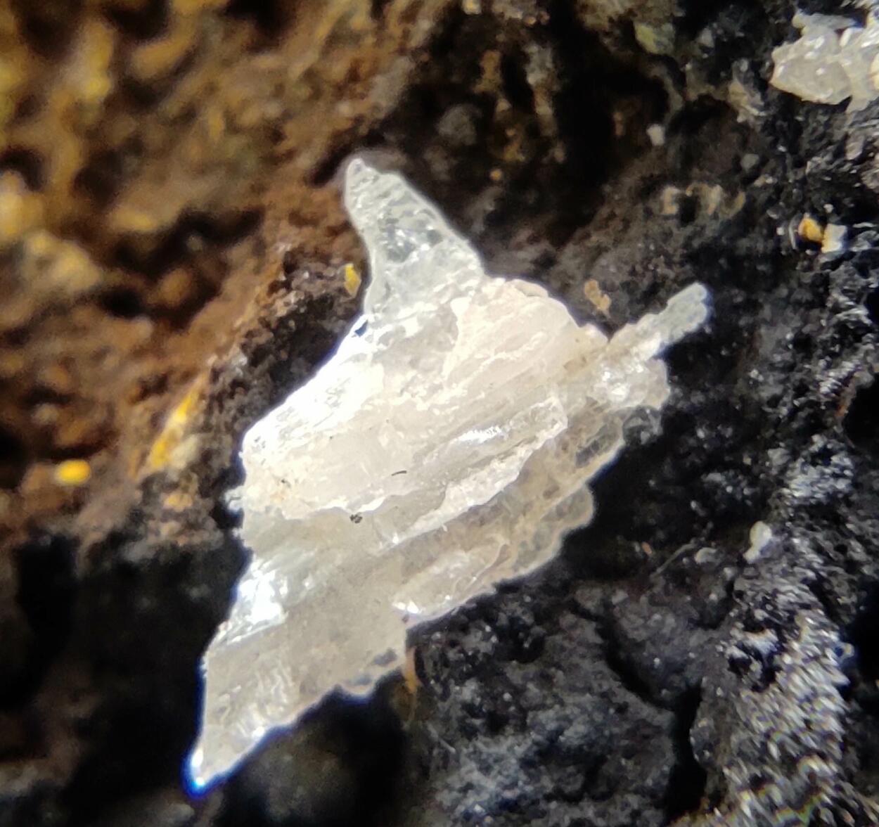 Campylite & Cerussite On Limonite & Goethite