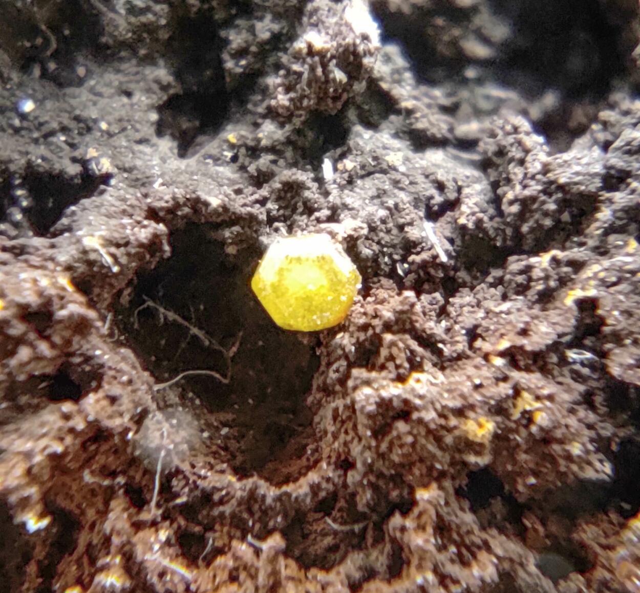 Campylite & Cerussite On Limonite & Goethite