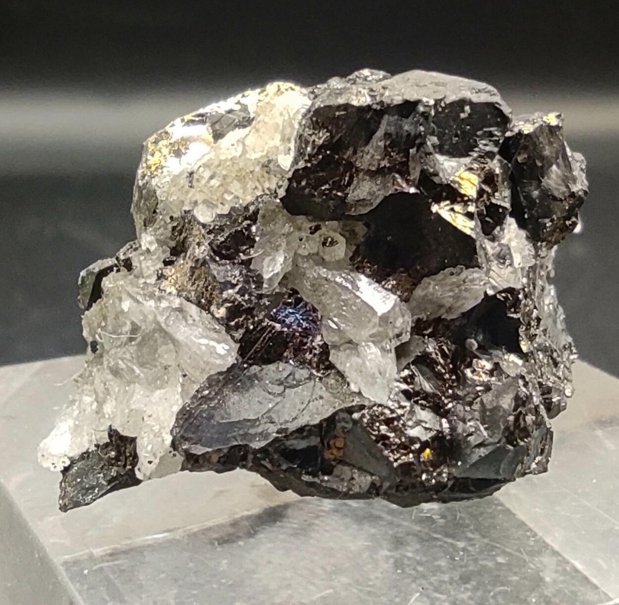 Pyrite Chalcopyrite Bornite & Quartz