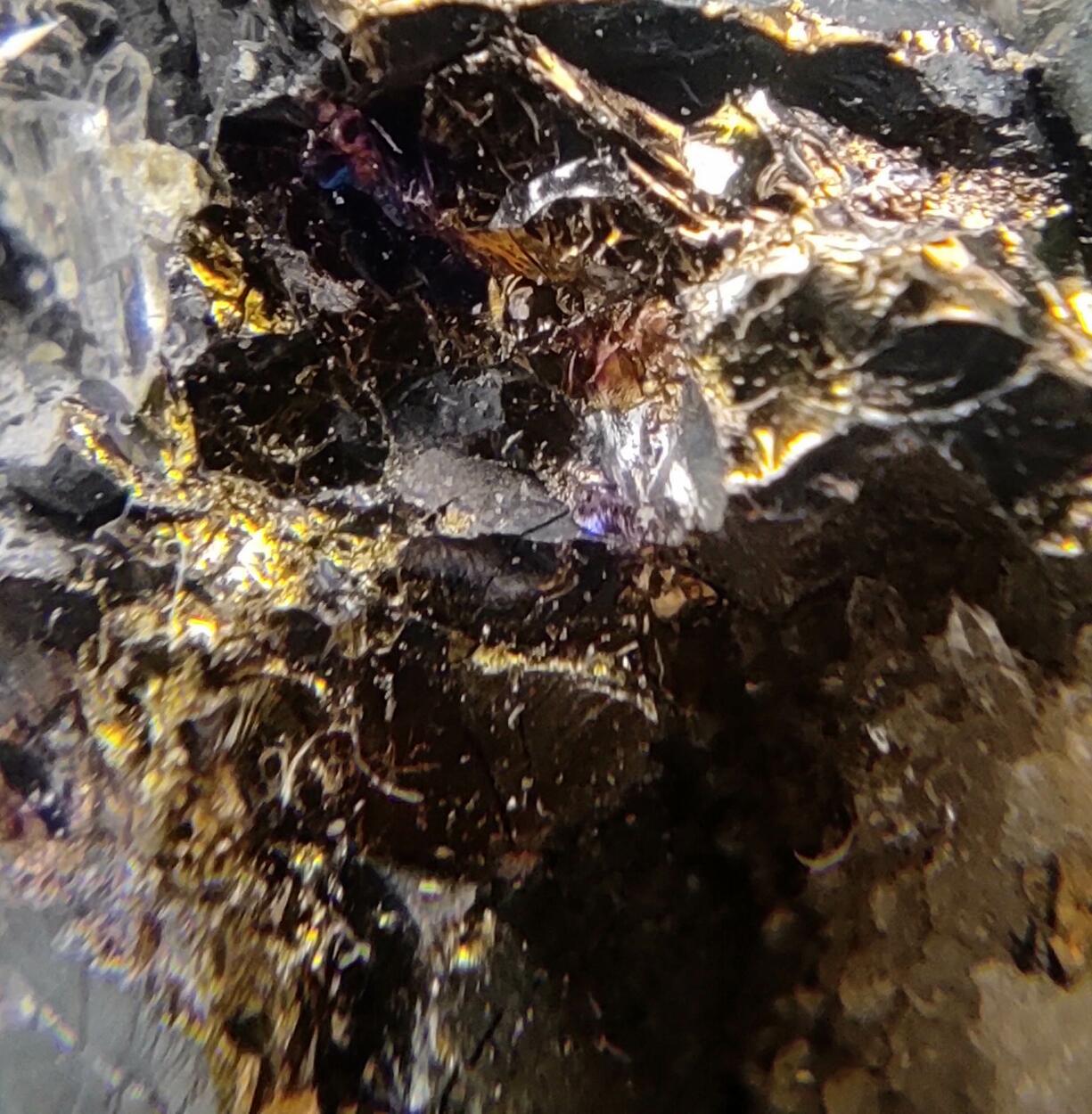 Pyrite Chalcopyrite Bornite & Quartz