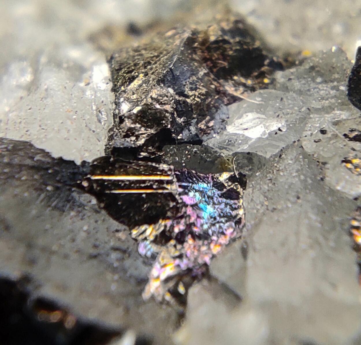 Pyrite Chalcopyrite Bornite & Quartz