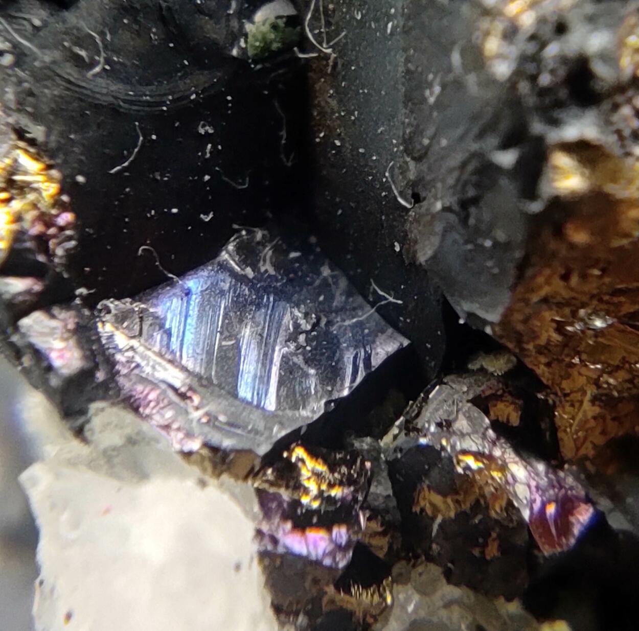 Pyrite Chalcopyrite Bornite & Quartz